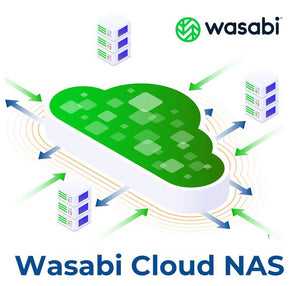 Wasabi Cloud NAS Storage 1-Year Subscription (Per TB)