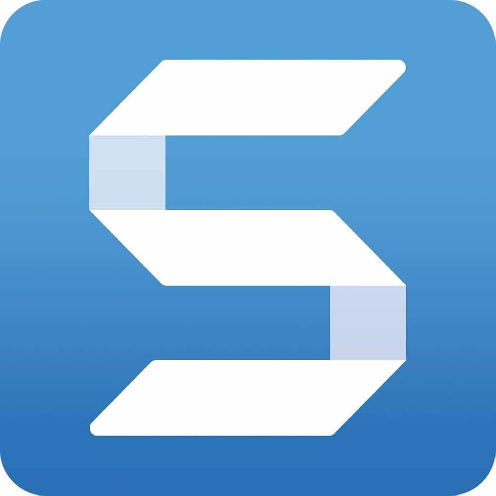 Techsmith Snagit 1-Year Subscription License