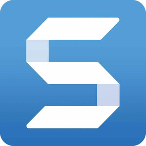 Techsmith Snagit 1-Year Subscription License