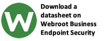 Download a datasheet on Webroot Endpoint Security