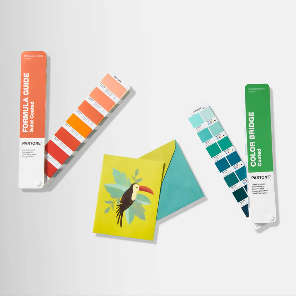 Pantone Formula Guide & Color Bridge Coated Combo GP6205B