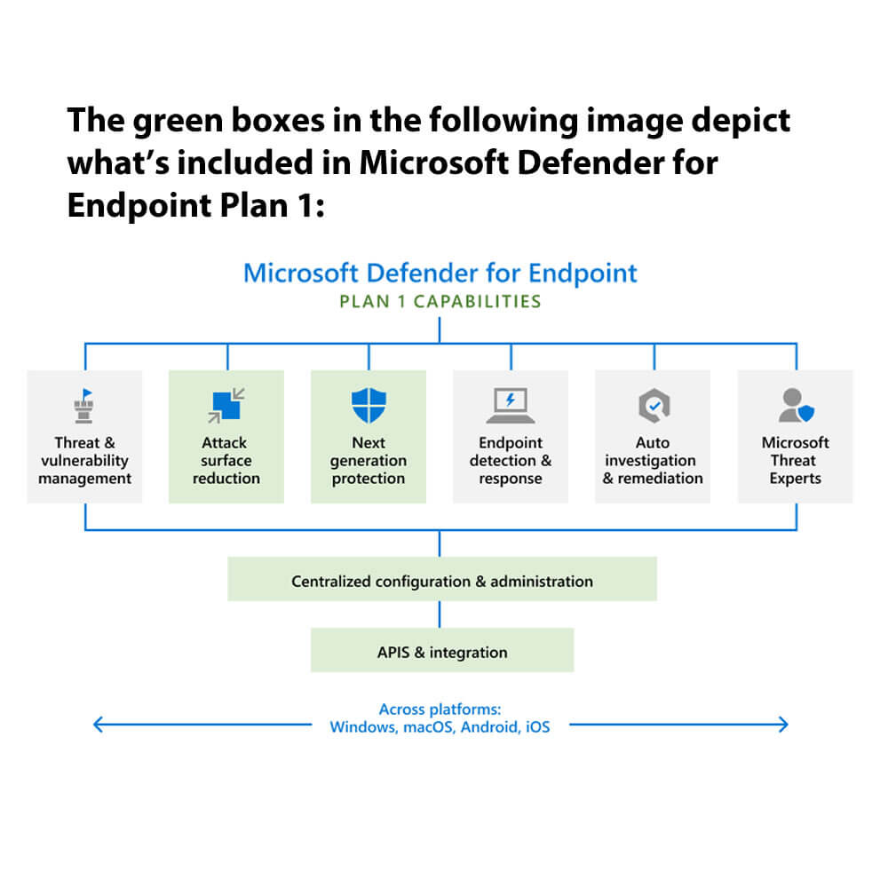Microsoft Defender for Endpoint P1 Annual Subscription License (Non-Profit)