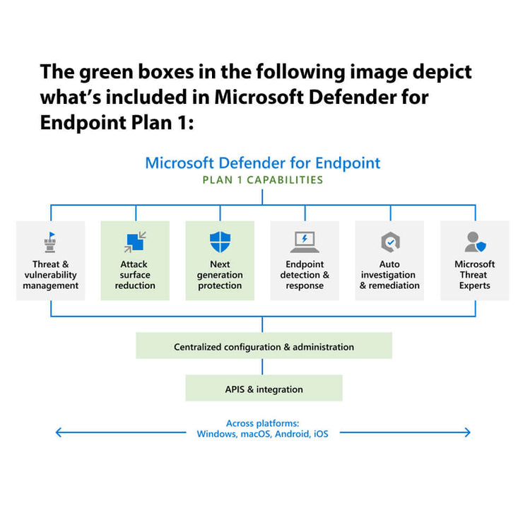 Microsoft Defender for Endpoint P1 Annual Subscription License (School