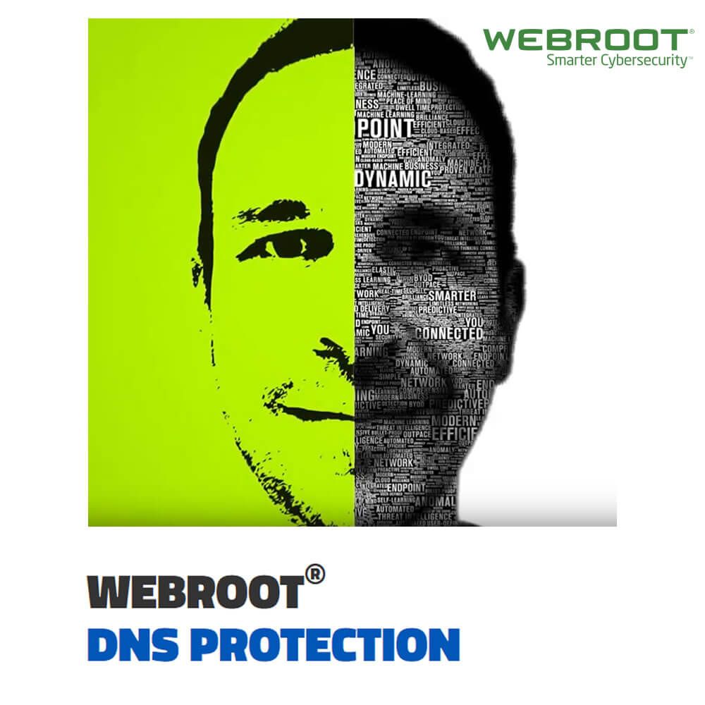 Webroot DNS Protection for Business 1-Year Subscription