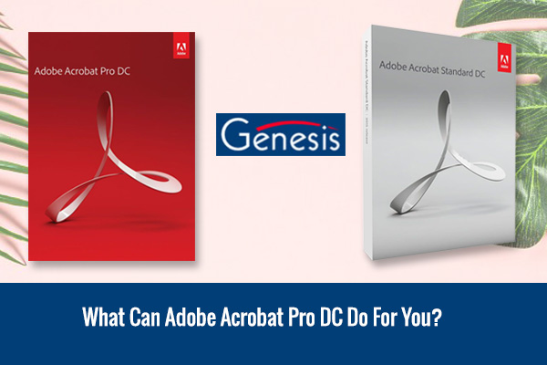 What Can Adobe Acrobat Pro DC Do For You?